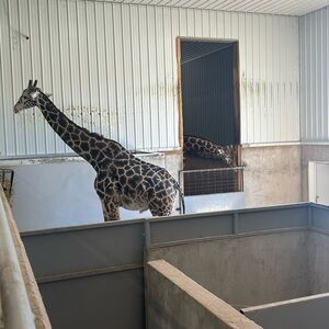 SELLING THINGS FOR CHEAP